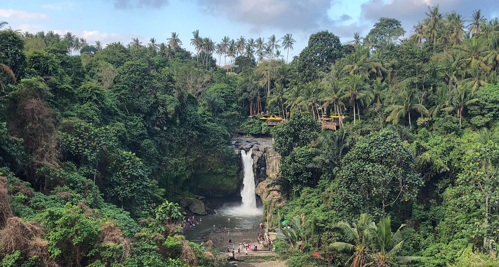Ubud Full Day Cultural & Highlights Tour^8 - 12 Hours
